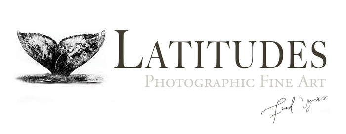 Latitudes Gallery