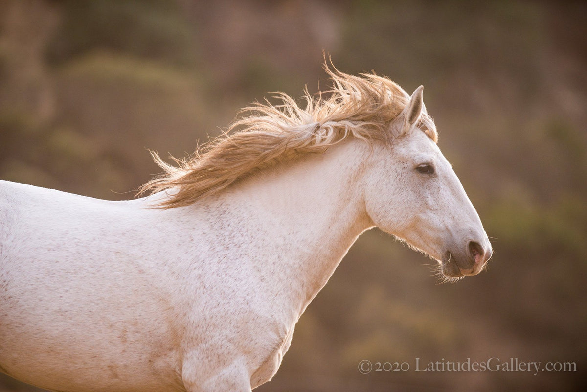 RunningFree_DSC7619_WEB2020_12