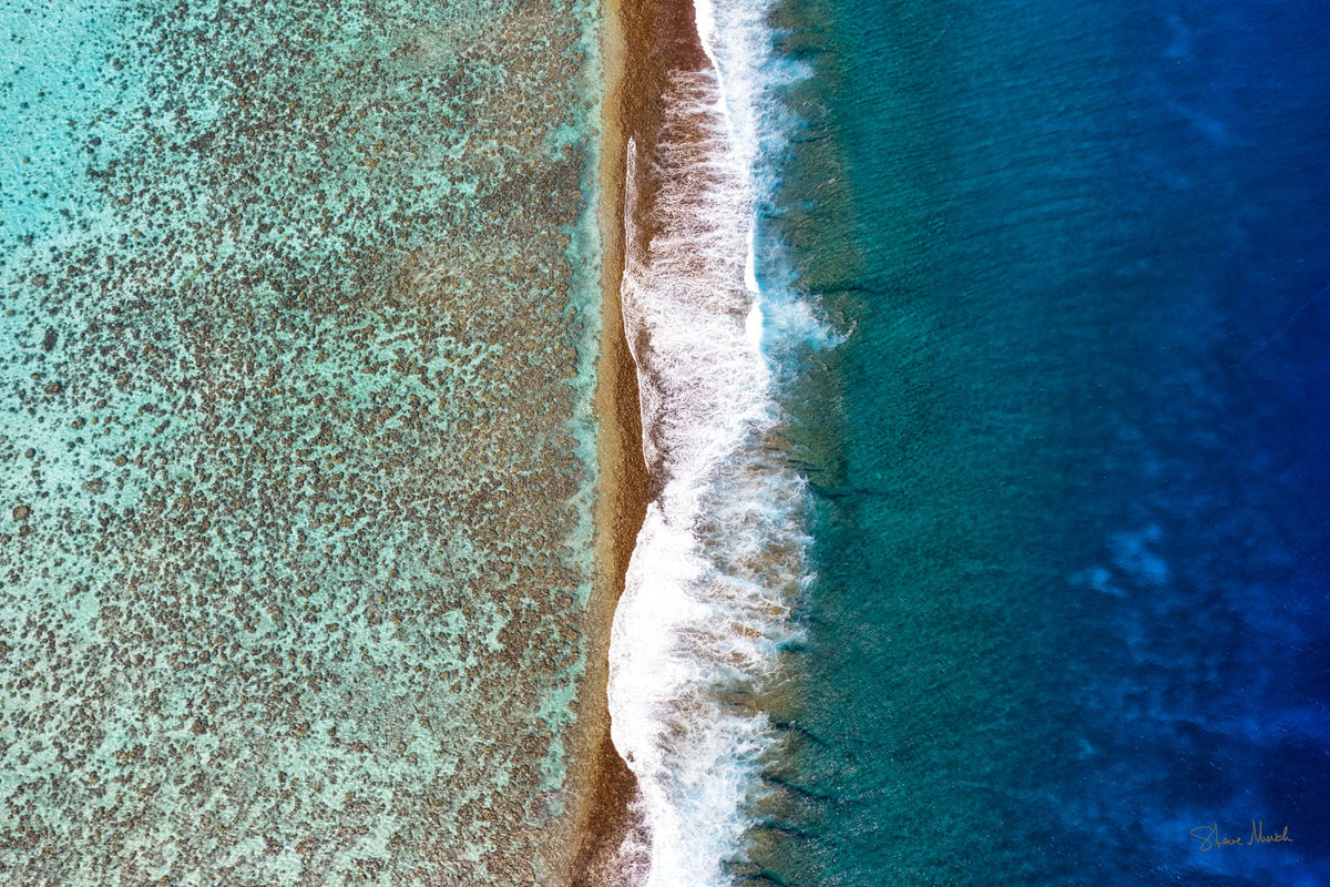 WEB_LatitudesGallery2022_Tropi