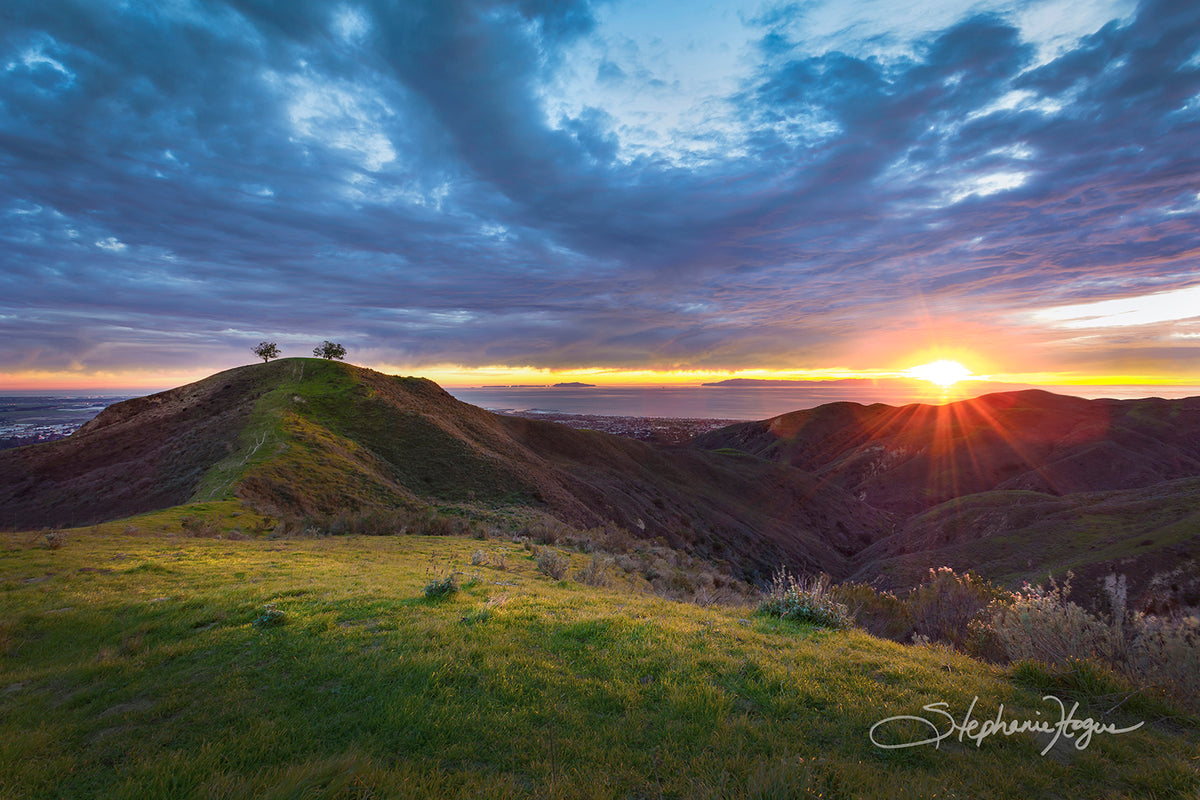 Two Trees Sunburst - Coastal Mountains Sunset Photo, CA