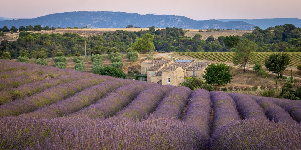 Photo Adventures in France