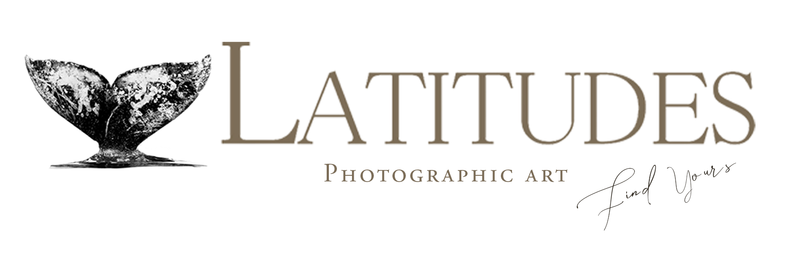 Latitudes Gallery