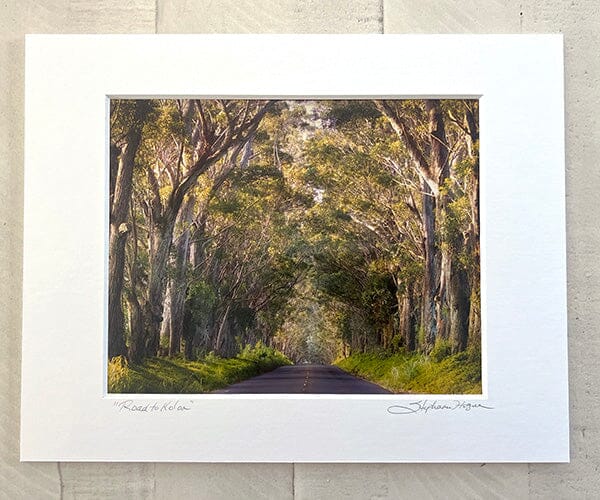 A limited edition photograph of a beautiful tunnel of lush green trees in on the island of Kauai. Photograph is named "Road to Koloa" by Stephanie Hogue.