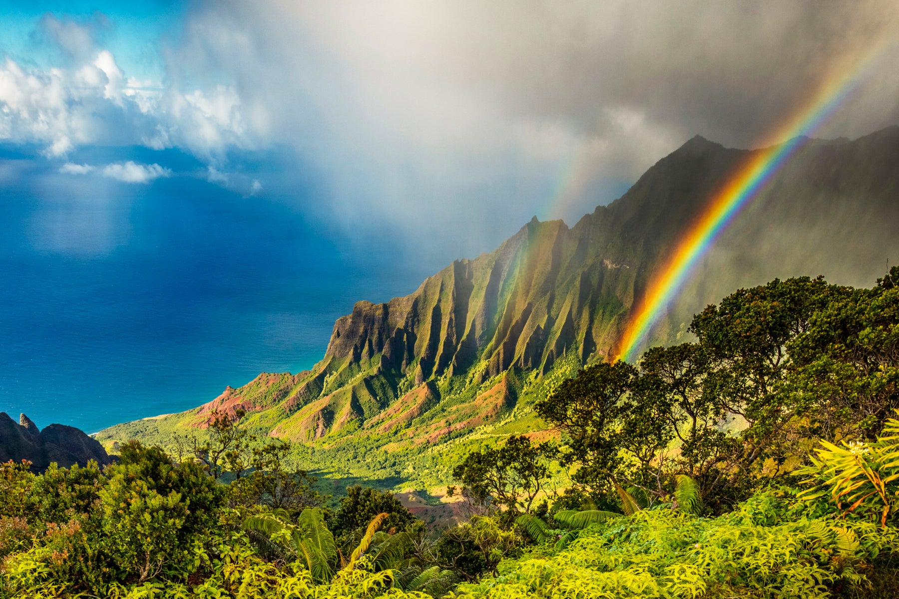 Mendigar Nublado Rechazar Kalalau Valley Rainbow - Kauai, Hawaii Rainbow Photograph – Latitudes  Gallery