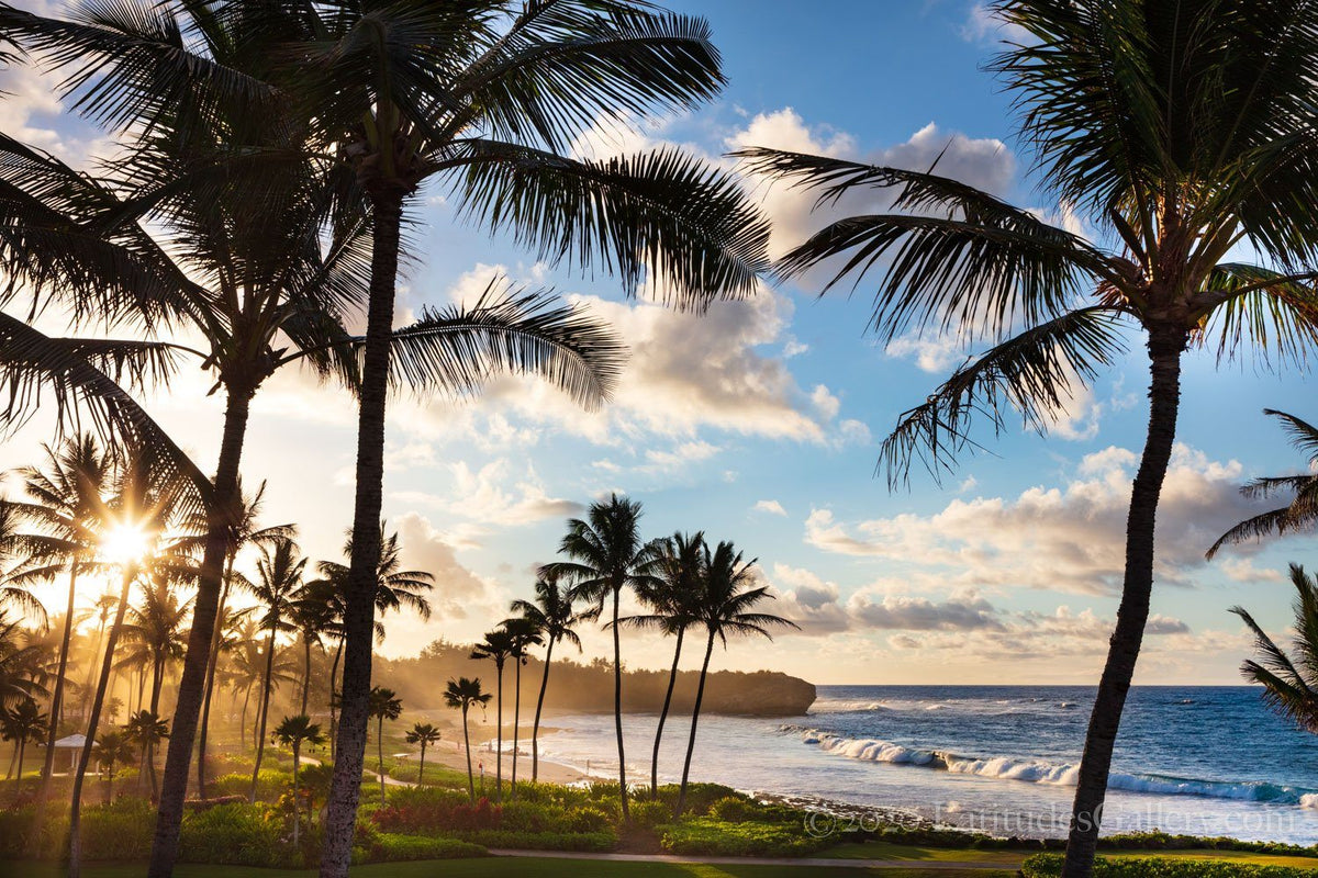 Shipwrecks Beach Golden Sunrise Beach Art Photo Kauai HI