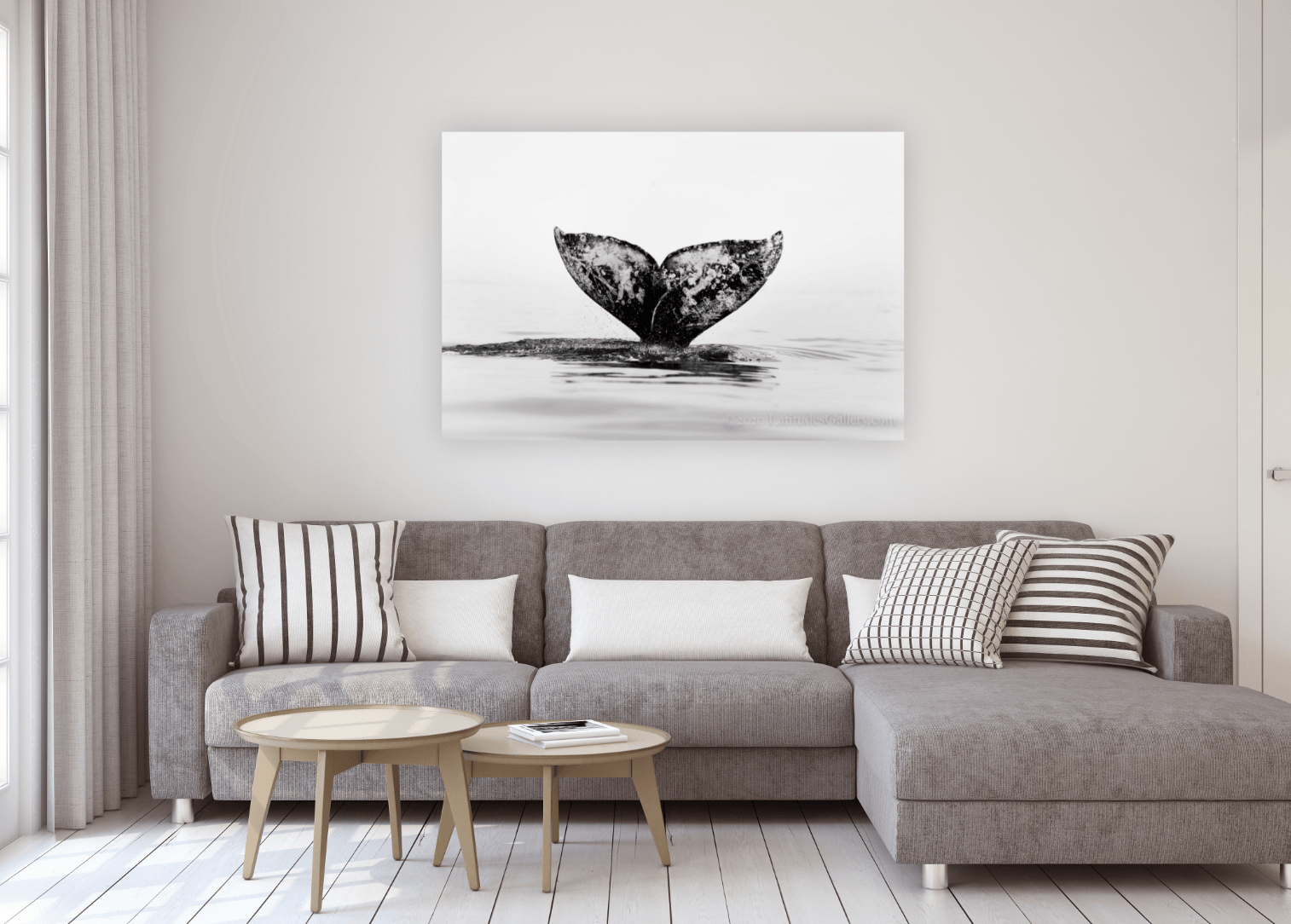 Gray Heart - Black & White Whale Tail Fine Art Photo – Latitudes Gallery