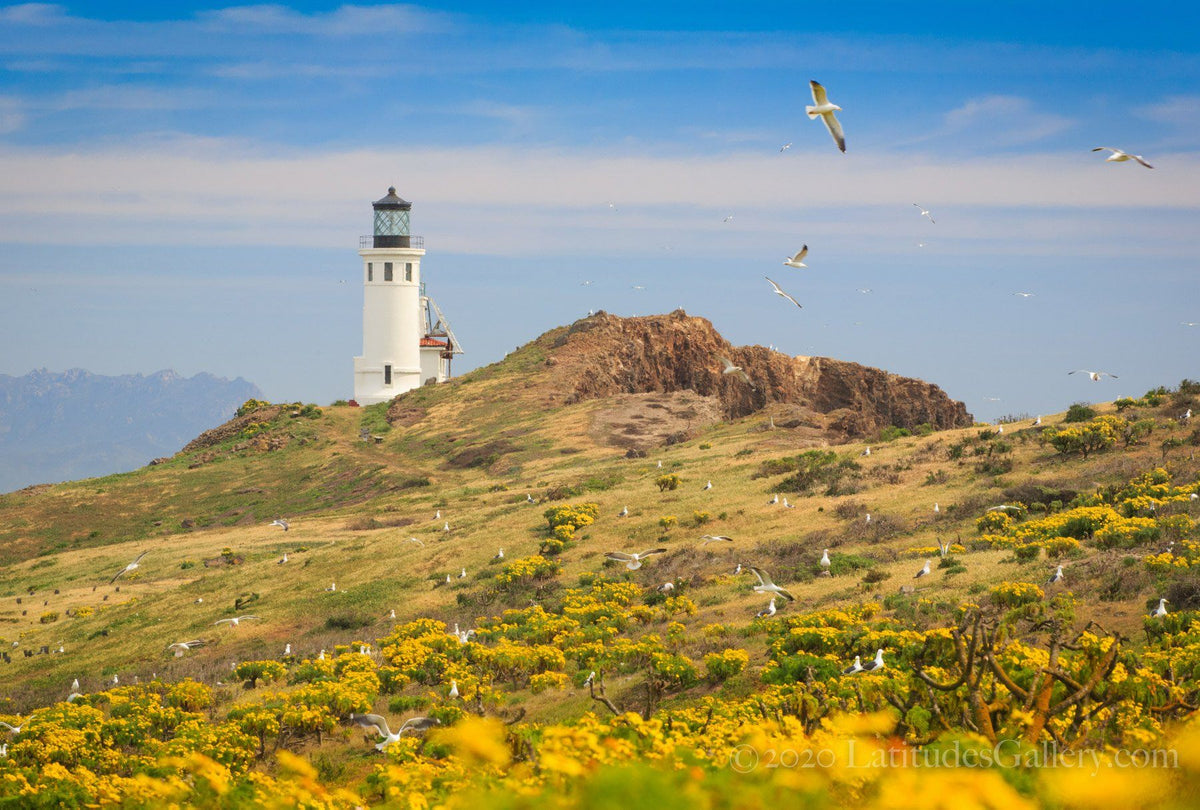 Springtime Lighthouse - Fine Art Photography, Channel Islands, CA ...