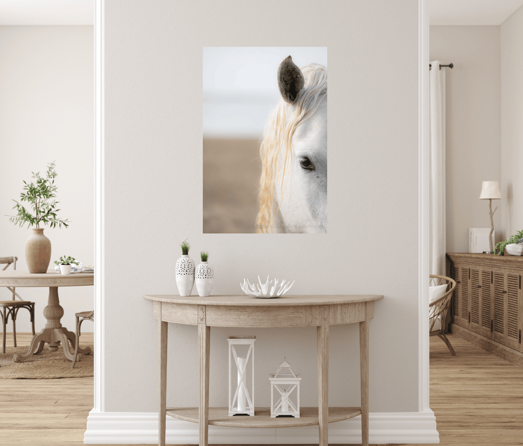 Angel Eyes - Fine Art Photograph of a White Horse of Camargue ...