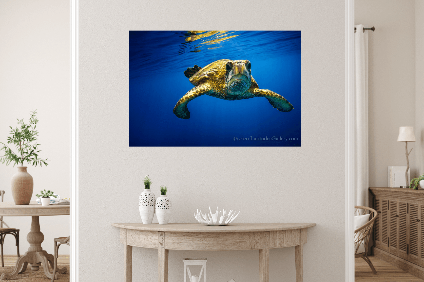 Happy Honu - Hawaiian Sea Turtle Wall Art Photograph – Latitudes Gallery