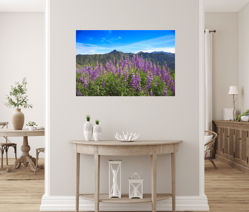 Spring Bloom - Purple Lupine Wildflowers Photograph, CA – Latitudes Gallery